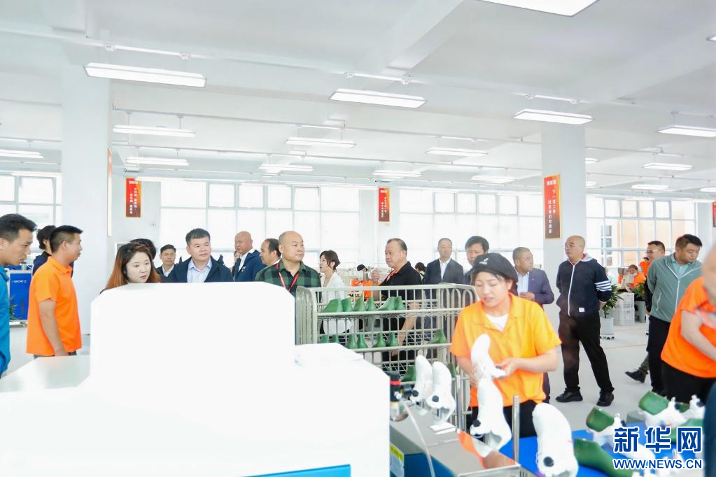 年产值4000万元 闽宁产业园首