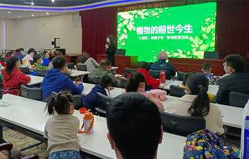 来宁夏地质博物馆了解植物的前世今生