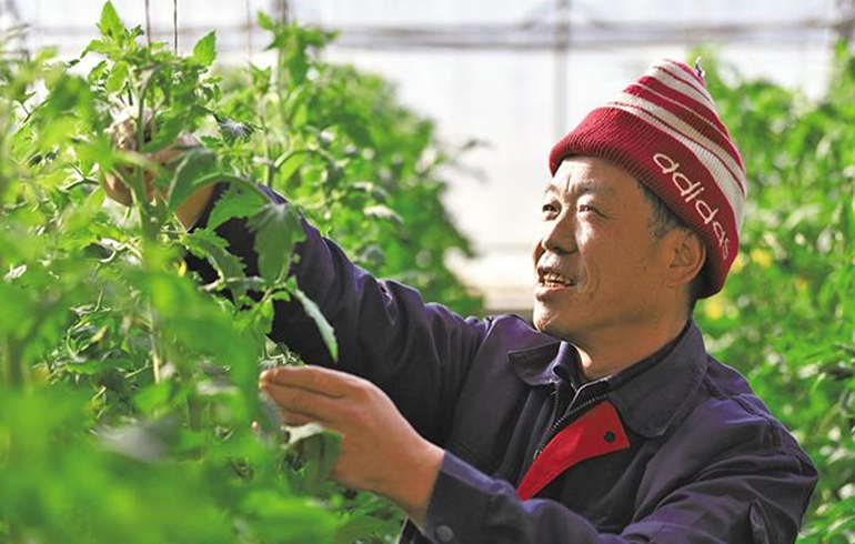 向美而行富宁村