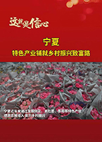 宁夏：特色产业铺就乡村振兴致富路