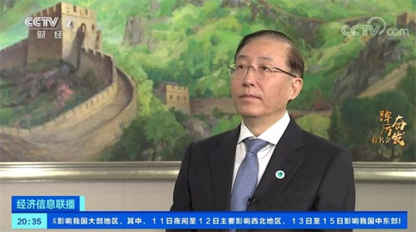 央視“走進國家電網”專訪辛保安董事長